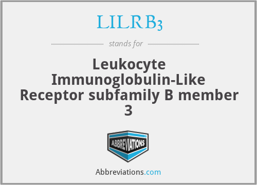LILRB3 - Leukocyte Immunoglobulin-Like Receptor subfamily B member 3
