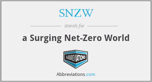 SNZW - a Surging Net-Zero World﻿