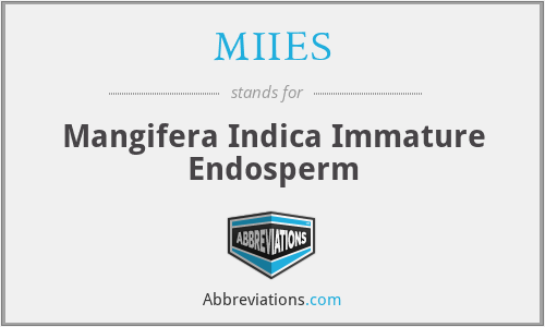MIIES - Mangifera Indica Immature Endosperm