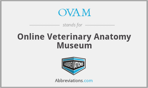 OVAM - Online Veterinary Anatomy Museum