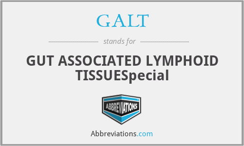 GALT - GUT ASSOCIATED LYMPHOID TISSUESpecial