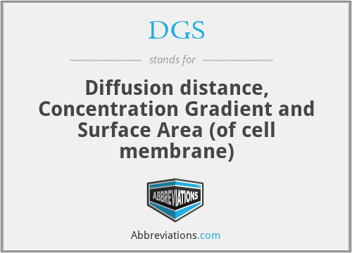 DGS - Diffusion distance, Concentration Gradient and Surface Area (of cell membrane)