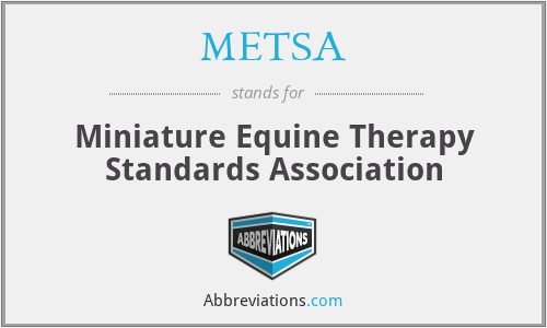 METSA - Miniature Equine Therapy Standards Association
