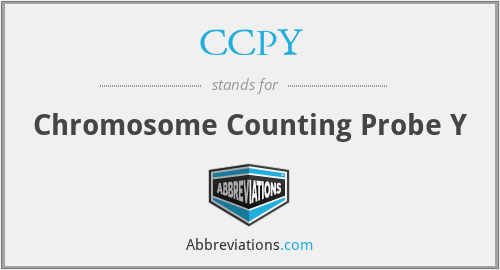 CCPY - Chromosome Counting Probe Y