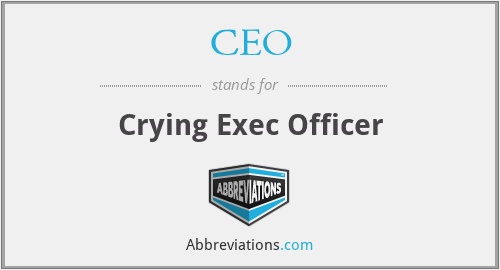 CEO - Crying Exec Officer