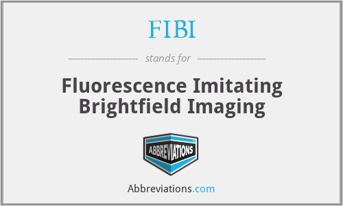 FIBI - Fluorescence Imitating Brightfield Imaging