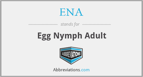 ENA - Egg Nymph Adult
