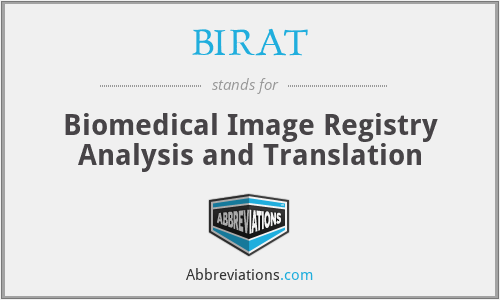 BIRAT - Biomedical Image Registry Analysis and Translation