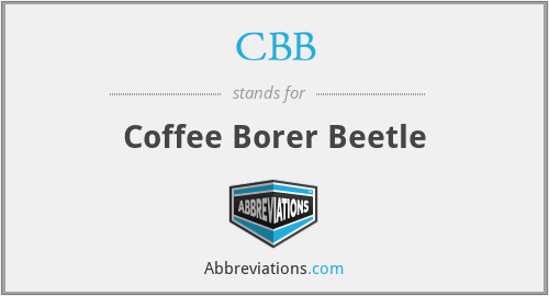 CBB - Coffee Borer Beetle