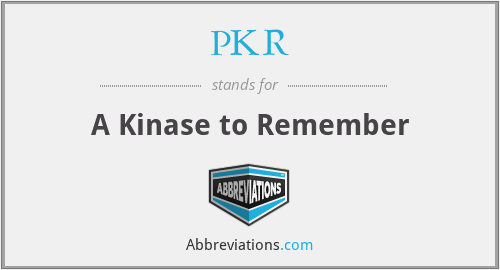 PKR - A Kinase to Remember