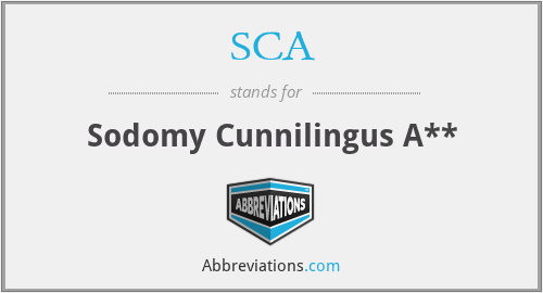 SCA - Sodomy Cunnilingus A**