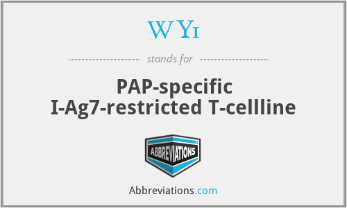 WY1 - PAP-specific I-Ag7-restricted T-cellline
