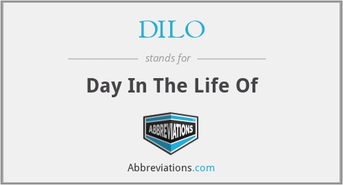 DILO - Day In The Life Of