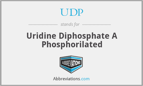 UDP - Uridine Diphosphate A Phosphorilated