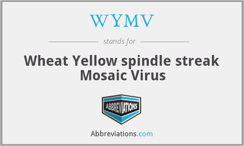 WYMV - Wheat Yellow spindle streak Mosaic Virus