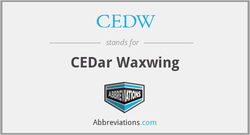 CEDW - CEDar Waxwing