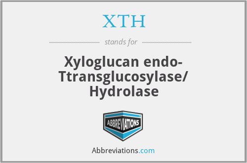XTH - Xyloglucan endo- Ttransglucosylase/ Hydrolase