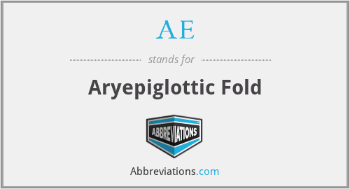 AE - Aryepiglottic Fold