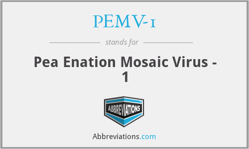 PEMV-1 - Pea Enation Mosaic Virus - 1