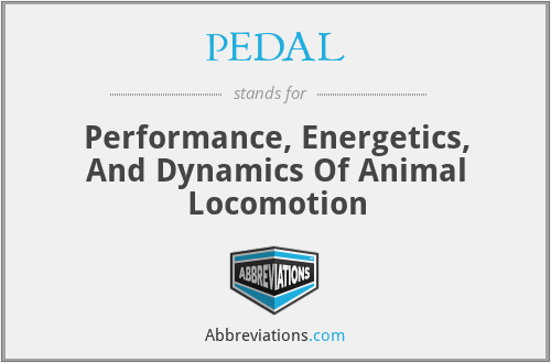 PEDAL - Performance, Energetics, And Dynamics Of Animal Locomotion