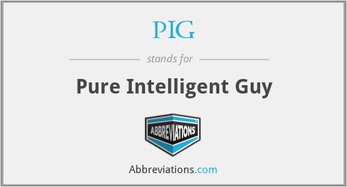 PIG - Pure Intelligent Guy