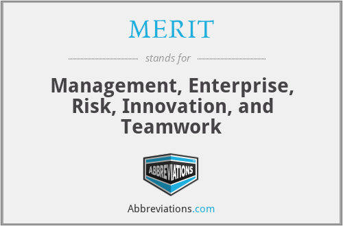 MERIT - Management, Enterprise, Risk, Innovation, and Teamwork