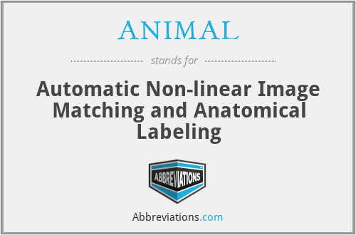 ANIMAL - Automatic Non-linear Image Matching and Anatomical Labeling