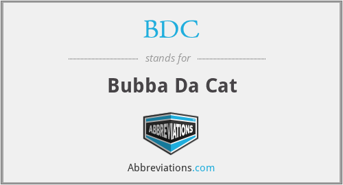 BDC - Bubba Da Cat
