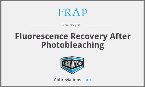 FRAP - Fluorescence Recovery After Photobleaching