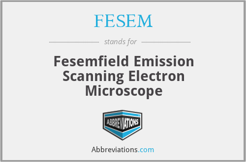 FESEM - Fesemfield Emission Scanning Electron Microscope