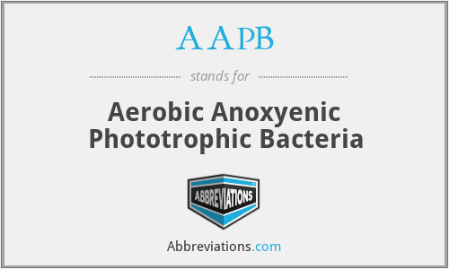AAPB - Aerobic Anoxyenic Phototrophic Bacteria