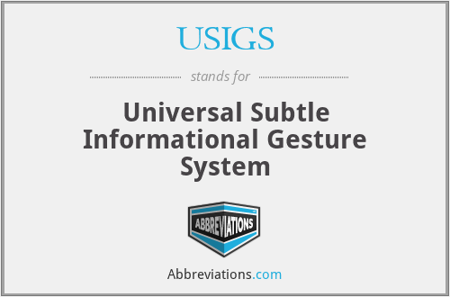 USIGS - Universal Subtle Informational Gesture System