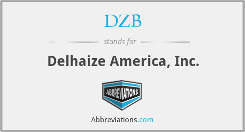 DZB - Delhaize America, Inc.