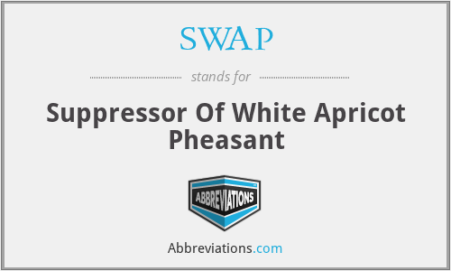 SWAP - Suppressor Of White Apricot Pheasant