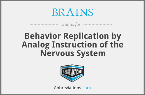 BRAINS - Behavior Replication by Analog Instruction of the Nervous System