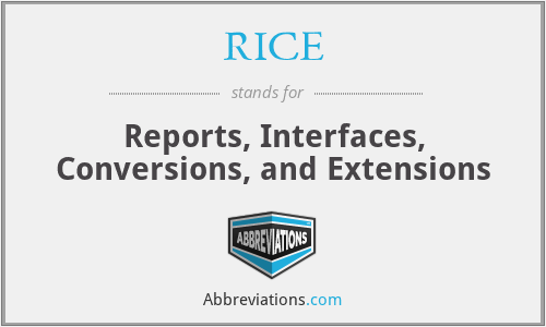 RICE - Reports, Interfaces, Conversions, and Extensions