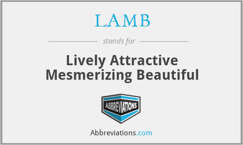 LAMB - Lively Attractive Mesmerizing Beautiful