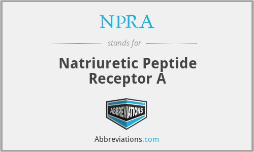 NPRA - Natriuretic Peptide Receptor A