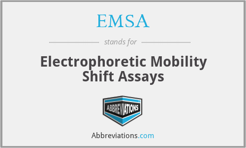 EMSA - Electrophoretic Mobility Shift Assays