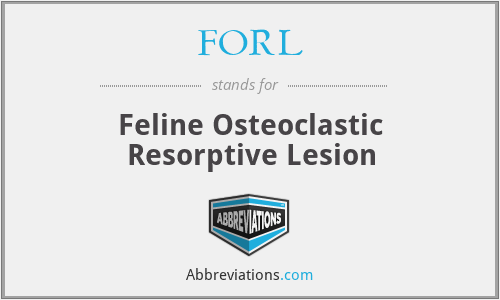 FORL - Feline Osteoclastic Resorptive Lesion