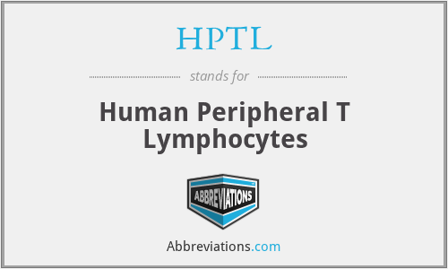 HPTL - Human Peripheral T Lymphocytes