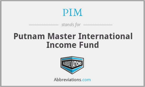 PIM - Putnam Master International Income Fund