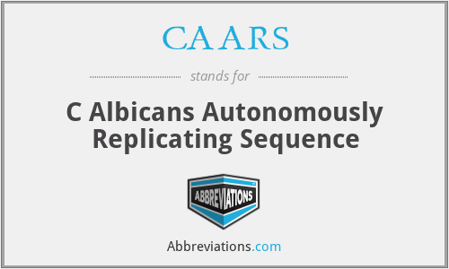 CAARS - C Albicans Autonomously Replicating Sequence