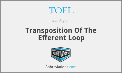 TOEL - Transposition Of The Efferent Loop