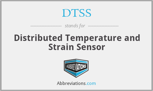 DTSS - Distributed Temperature and Strain Sensor