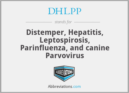 DHLPP - Distemper, Hepatitis, Leptospirosis, Parinfluenza, and canine Parvovirus