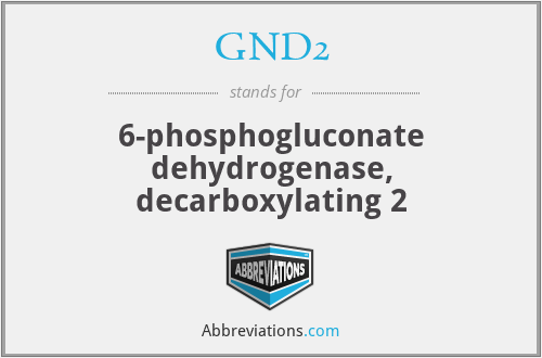 GND2 - 6-phosphogluconate dehydrogenase, decarboxylating 2