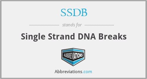 SSDB - Single Strand DNA Breaks