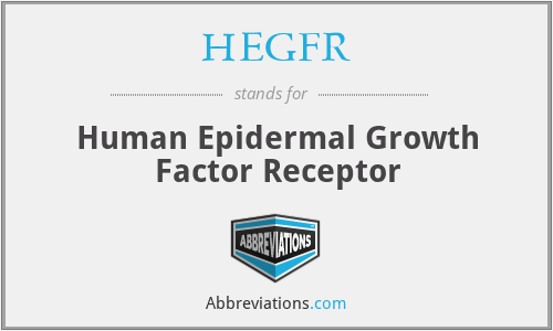 HEGFR - Human Epidermal Growth Factor Receptor