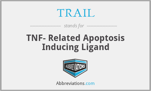 TRAIL - TNF- Related Apoptosis Inducing Ligand
